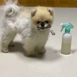 덕구리누나님이 올린 리뷰 사진 3