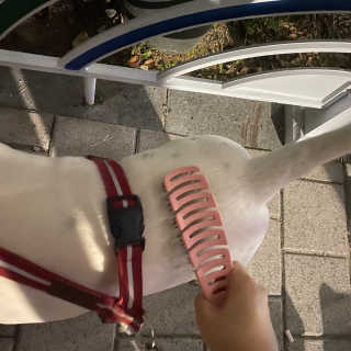 유니님이 올린 리뷰 사진 2