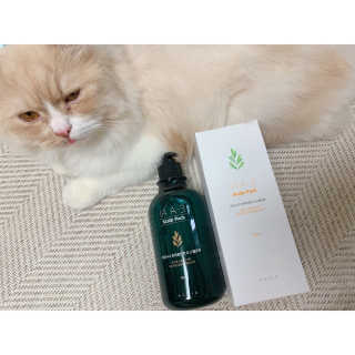 아카이아 이아 A3 헤어스캘프팩 500ml — 5점을 준 리뷰어가 2020년 6월 올린 사용 사진