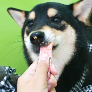 바니님이 올린 리뷰 사진 1