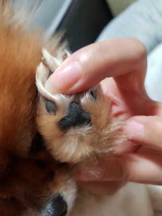 버츠비 케어플러스 릴리빙포앤노즈로션 — 5점을 준 리뷰어가 2020년 11월 올린 사용 사진