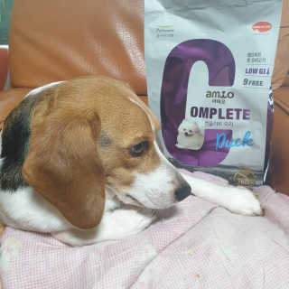 beaglelove님이 올린 리뷰 사진 1