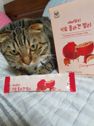 장간님이 올린 리뷰 사진 2