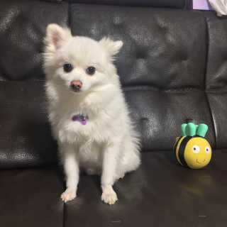 0ee님이 올린 리뷰 사진 2