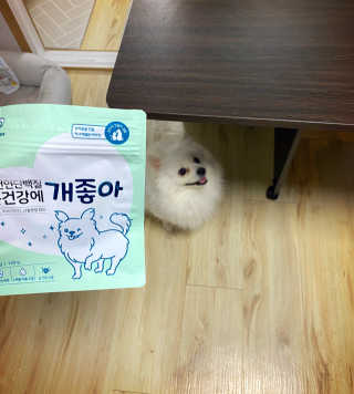 My Pet Care 천연단백질 눈건강에 개좋아 — 5점을 준 리뷰어가 2020년 12월 올린 사용 사진