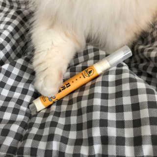 suuujin님이 올린 리뷰 사진 2