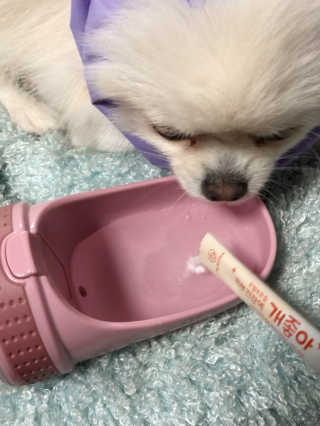 My Pet Care 모발과 모질 피부건강에 개좋아 — 5점을 준 리뷰어가 2020년 11월 올린 사용 사진