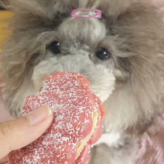 BlossomY님이 올린 리뷰 사진 3