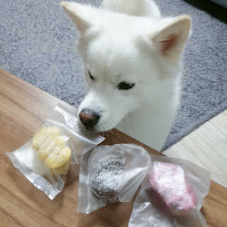 kay님이 올린 리뷰 사진 2