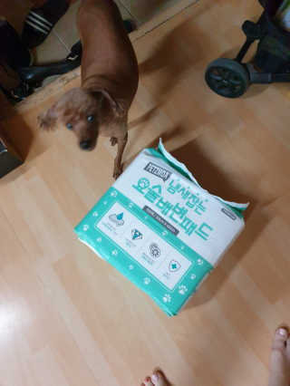 긍정미뇽님이 올린 리뷰 사진 2