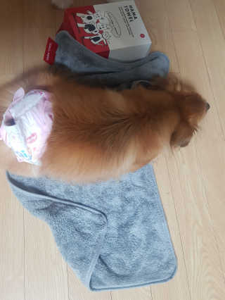 미미네님이 올린 리뷰 사진 3