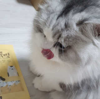 슬뷰님이 올린 리뷰 사진 4