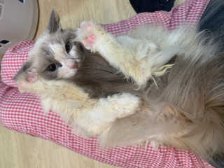MoonjuKim님이 올린 리뷰 사진 3