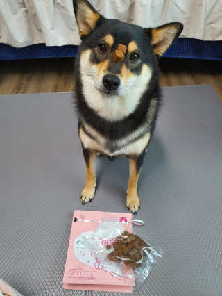 My Pet Care 천연단백질 관절건강에 개좋아 — 5점을 준 리뷰어가 2020년 12월 올린 사용 사진