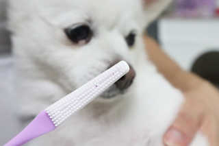 오들희님이 올린 리뷰 사진 2