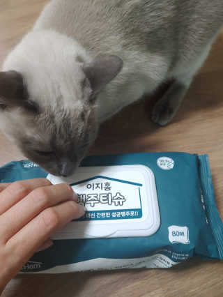 이지홈 간편 살균 행주 티슈 — 5점을 준 리뷰어가 2020년 11월 올린 사용 사진