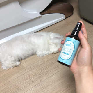 코지독 카밍스프레이 100ml — 4점을 준 리뷰어가 2020년 5월 올린 사용 사진