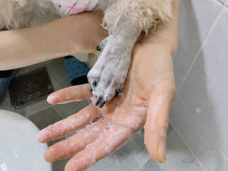 mandok님이 올린 리뷰 사진 4