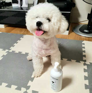 킴치님이 올린 리뷰 사진 1