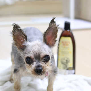 레비올라님이 올린 리뷰 사진 1