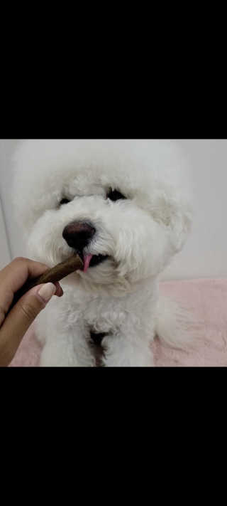 My Pet Care 천연단백질 치아건강에 개좋아 — 5점을 준 리뷰어가 2020년 11월 올린 사용 사진