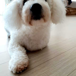 저세상텐션님이 올린 리뷰 사진 4