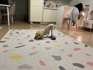 leah님이 올린 리뷰 사진 3