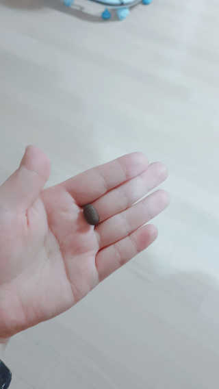 조은약초 꿀잠큐어 제주 감태추출물 감태정 600mg — 5점을 준 리뷰어가 2020년 4월 올린 사용 사진