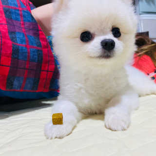 임수빈님이 올린 리뷰 사진 2