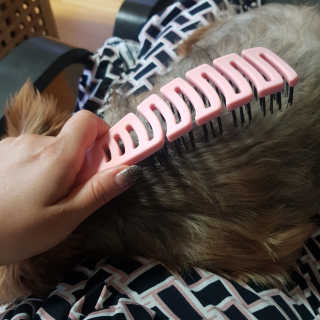 롤리팝님이 올린 리뷰 사진 3