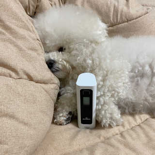 쥬니님이 올린 리뷰 사진 3