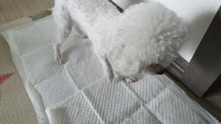 wsea님이 올린 리뷰 사진 3