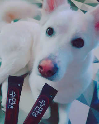 딸랑구둘🥰님이 올린 리뷰 사진 1