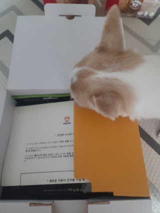 보리보리님이 올린 리뷰 사진 2