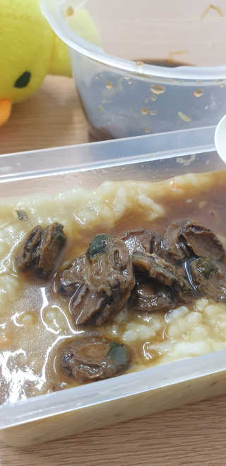 바다는다웰빙이다 완도사랑 전복죽 250g - 2팩 + 전복장조림 2팩 — 5점을 준 리뷰어가 2020년 8월 올린 사용 사진