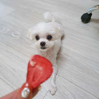 라임님이 올린 리뷰 사진 2