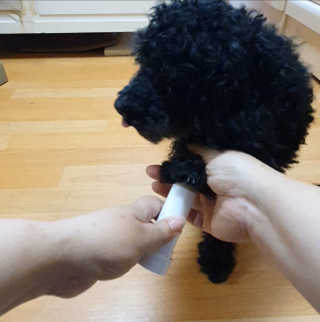브릿님이 올린 리뷰 사진 4