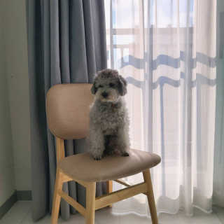순삼님이 올린 리뷰 사진 2