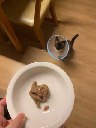 사키나이리님이 올린 리뷰 사진 2