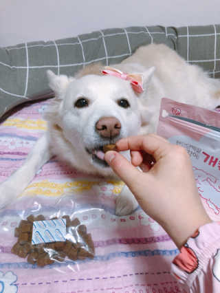 My Pet Care 천연단백질 관절건강에 개좋아 — 5점을 준 리뷰어가 2020년 12월 올린 사용 사진