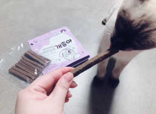 My Pet Care 천연단백질 치아건강에 개좋아 — 5점을 준 리뷰어가 2020년 11월 올린 사용 사진