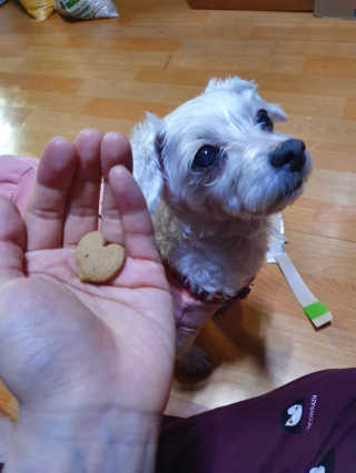 소영님이 올린 리뷰 사진 4