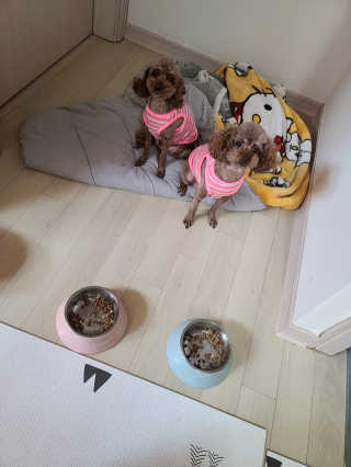다니님이 올린 리뷰 사진 3