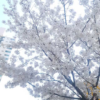 리미뷰님이 올린 리뷰 사진 3