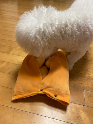 무한독주님이 올린 리뷰 사진 3