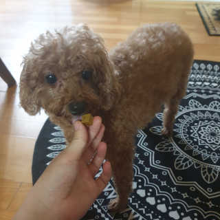 유나님이 올린 리뷰 사진 1