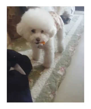 HyeokYoon님이 올린 리뷰 사진 2