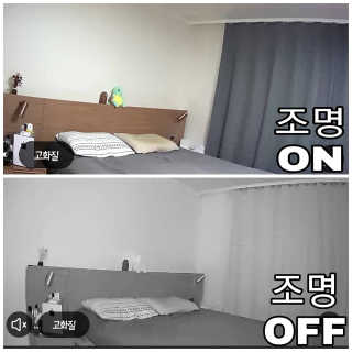 랑이맘님이 올린 리뷰 사진 3