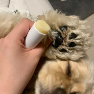 우린당님이 올린 리뷰 사진 1