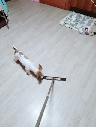 언제나피터팬님이 올린 리뷰 사진 3